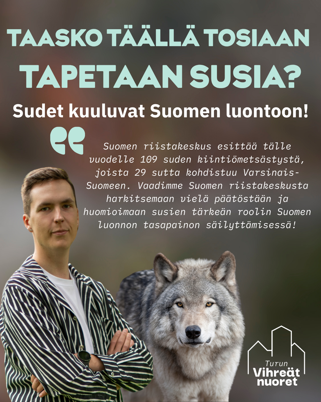 Taasko täällä tosiaan tapetaan susia? – Kannanotto susien metsästyksestä